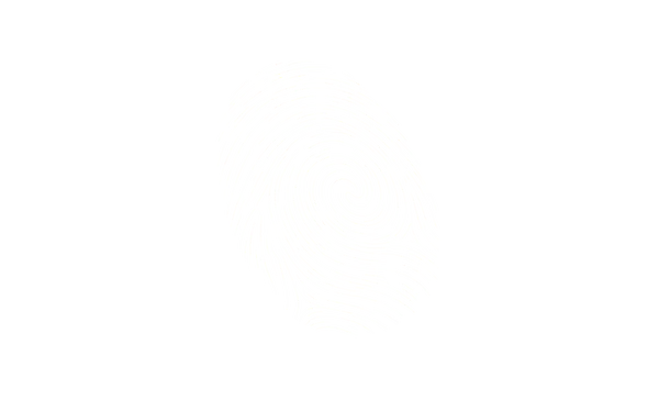 Fingerprint Flow dark screenshot